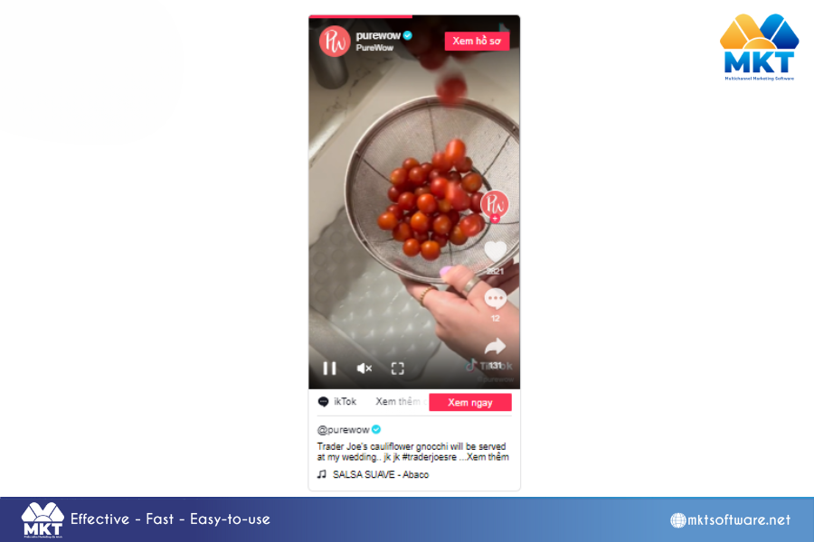 Try popular recipes 10 Engaging TikTok Ideas for Beginners: Boost Your Brand's Presence