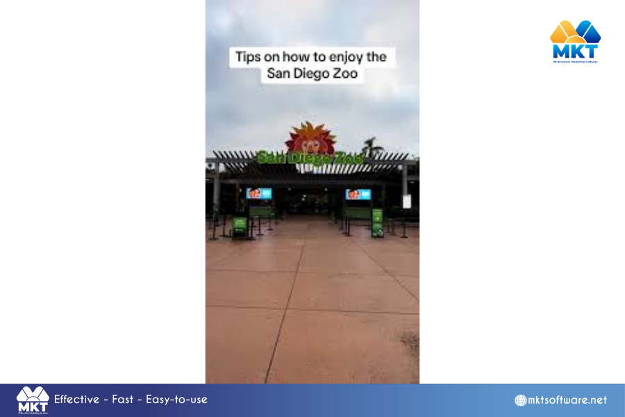 Produce educational content 10 Engaging TikTok Ideas for Beginners: Boost Your Brand's Presence