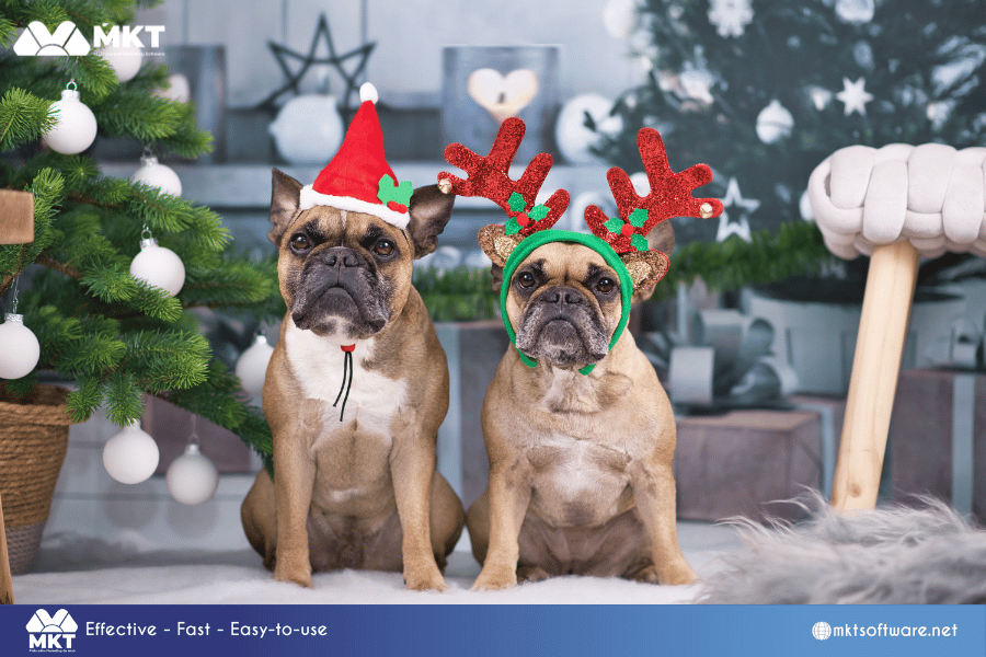 Christmas pet costumes Unique Christmas clothes