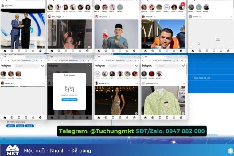 Step 4 Click ‘Start’ – the software will automatically post on multiple accounts simultaneously.