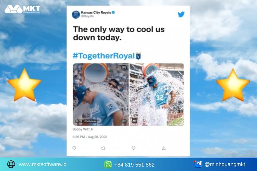 What is how to auto post Twitter?
